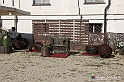 VBS_2403 - FloReal 2021 alla Palazzina di Caccia di Stupinigi